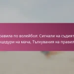 Правила по волейбол: Сигнали на съдията, Процедури на мача, Тълкувания на правилата
