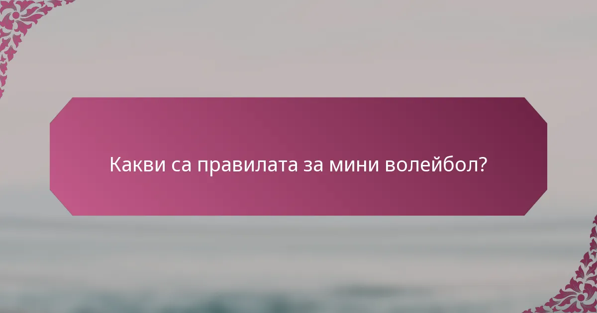 Какви са правилата за мини волейбол?